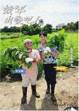星际迷航特效解析 freeok追剧官网